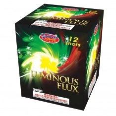 LUMINOUS FLUX - CASE 12/1